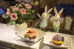 华南烹饪学校新闻