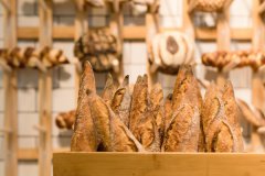 华南烹饪学校新闻