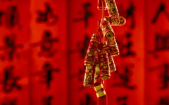 华南烹饪学校新闻