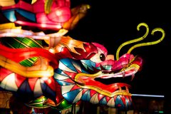 华南烹饪学校新闻