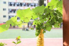 华南烹饪学校新闻