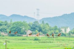 华南烹饪学校新闻
